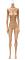 168cm Cカップ 168cm Cカップ
