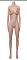 145cm Bカップ 145cm Bカップ