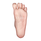 XTDOLL 10%OFFキャンペーン 12月31日まで ROS口開閉機能など無料 軽量化仕様 フルシリコン ダッチワイフ 美少女