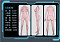 150cm Bカップ 26kg