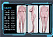 162cm Iカップ 41kg