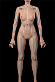 ZELEX DOLL ラブドール 新型 170cm #GE95-1ヘッド リアルメイク付き ダッチワイフ フルシリコン製