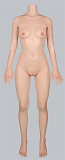 WAXDOLL ラブドール ボディのみ 専用販売ページ ボディ単体 頭部無し フルシリコン製