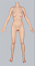 147cm
