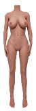 sanmu doll#35 ラブドール 160cm Eカップ 普乳 フルシリコン製 リアルドール