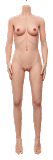Sanmu doll #S32 145cm Bカップ シリコンヘッド+TPEボディ幼い系 ルックス ラブドール ろり