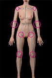 zelexdoll #GE111-1 ラブドール 新型 175cm Eカップ 普乳 リアルメイク付き フルシリコン製 セックスドール