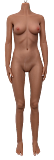 Sanmu doll#S9 148cm Bカップ シリコンヘッド+TPEボディ 可愛い 美乳 リアル ラブドール