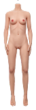 Sanmu doll#S9 148cm Bカップ シリコンヘッド+TPEボディ 可愛い 美乳 リアル ラブドール