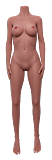 sanmu doll#35 ラブドール 160cm Eカップ 普乳 フルシリコン製 リアルドール
