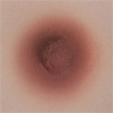 Yearndoll ラブドール 10％OFFキャンペーン 2月28日まで フルシリコン 軽量化ボディ+二代目手骨格関節+TOP級シリコン+自立機能など無料