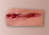 Top Sino Doll RRS+メイク 米悠 米葵169cm Gカップ マスクをした美しい女性 リアル ラブドール シリコン 人形