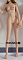 160cm Bカップ