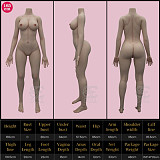 SEDOLL ラブドール 165cm Cカップ #135SC Xena.Aちゃん フルシリコン製 ダッチワイフ 巨乳