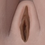 SEDOLL 欧米ラブドール 153cm Fカップ #076 Yuuki.Kヘッド TPE製 ダッチワイフ 等身大リアルドール