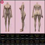 SEDOLL ラブドール 165cm Cカップ #135SC Xena.Aちゃん フルシリコン製 ダッチワイフ 巨乳