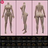 SEDOLL ラブドール 165cm Cカップ #135SC Xena.Aちゃん フルシリコン製 ダッチワイフ 巨乳