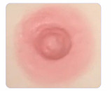 伴趣 BQDOLL B2 瑶瑶 148cm Aカップ 貧乳 ラブドール シリコンヘッド+TPEボディ