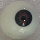 Real Girl C工場製 可愛いリアルラブドール 148cm Dカップ C7 ダッチワイフ シリコン製 S-TPE材質選択可