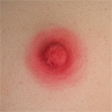 WAXDOLL ロリ系ラブドール 155cm Cカップ 普乳 GD36_1ヘッド フルシリコン製 ダッチワイフえろ【宣伝画像は口開閉機能ありの軟性シリコンヘッド】DOAマリー・ローズ エッチドール