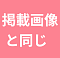 掲載画像と同じ衣装