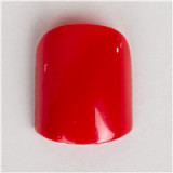 Starpery Mira ラブドール 167cm Eカップ 軽量版 フルシリコン製 等身大リアルドール