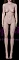 157cm‐Dカップ（RS、RRSメイク選択可）