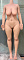 161cm‐Eカップ（RS、RRS＋メイク選択可）