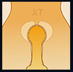 XTDOLL byx2 BAkira 小柄可愛い ラブドール 157cm 普乳 Dカップ 軽量化24kg フルシリコン製 ダッチワイフアダルト