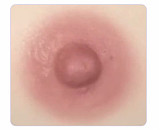 伴趣 はんしゅ B8 佳奈 156cm Jカップ 熟女人妻 エロ ラブドール フルシリコン製 BQ DOLL