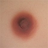 WAXDOLL GE43 可愛さ120％ 新型 154cm Aカップ JCラブドール シリコン製 リアルメイク付き