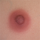 WAXDOLL GE43 可愛さ120％ 新型 154cm Aカップ JCラブドール シリコン製 リアルメイク付き