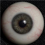 WAXDOLL GE43 ドM 新型 154cm Aカップ シリコン製 ラブドール 束縛SM リアルメイク付き