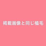 Mini Doll 58cm レム コスプレ 普乳  アニメ系 BJD ミニ sex人形