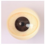 Jiusheng Doll Yuko 笑顔 155cm Fカップ フルシリコン製 セックスドール