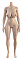 155cm Fカップ 155cm Fカップ