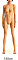 165cm Aカップ 34kg