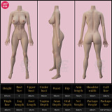 SEDOLL 160cm 107ヘッド Cカップ  短髪 シリコン ウサギ歯 エッチラブドール