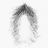 Doll Senior 娃娃學姐 お尻オナホール 8.5kg 美尻 非貫通 据え置き型オナホ シリコン製アダルトグッズ