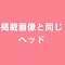 掲載画像と同じ