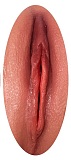 アート技研 Art-doll A17 幸也 大人気の先輩 sexdoll 160cm Fカップ シリコン製 jk制服リアルドール 模擬口腔選択可
