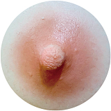 XTDOLL 10%オフ 4月30日迄 Sophia ぽっちゃり体型の欧米系熟女 エッチドール 163cm UItra Iカップ 爆乳巨尻 新しいボディ フルシリコン製 ダッチワイフ