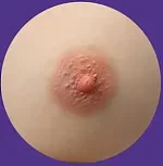 MMXDOLL 梦菲 髪の毛の植毛仕様の色気たっぷりなお姉さん エロドール 88cm AAカップ ミニ シームレス ラブドール シリコン製 セクシー可能