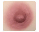 伴趣 はんしゅ 小舞 ゲームキャラクターのコスプレ ちび狐美少女 ダッチワイフ 156cm Jカップ シリコン リアルドール BQDOLL