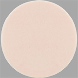 J-cute 149cm AGD10陽葵 軽量 ラブドール シリコン製 美少女等身大 アダルト セックス人形