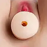 羊角社 アニメ 155cm 初音未来 人気 コスプレ ラブドール AAカップ貧乳 ビニールヘッド+S-TPEボディ