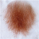 Starpery かわいい ラブドール 151cm Bカップ 普乳 Yufan フルシリコン製 美少女フィギュアドール