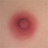 WAXDOLL 可愛い系 ラブドール 新型 122cm バスト平 AGB28ヘッド フルシリコン製 リアルメイク付き エロ人形