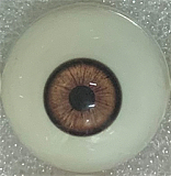 Real Girl C工場製 リアルラブドール 171cm Eカップ巨乳 dd6 JK制服フルシリコン製 髪植毛ダッチワイフ