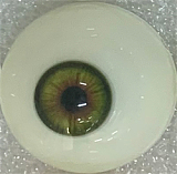 Real Girl C工場製 リアルラブドール 171cm Eカップ巨乳 dd6 JK制服フルシリコン製 髪植毛ダッチワイフ